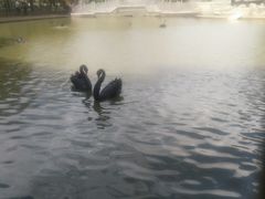 -新疆天山野生动物园