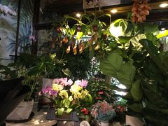-宝鸡东道花鸟鱼虫市场(吉利花园商场店)