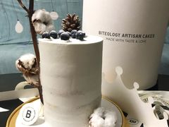 -Biteology Artisan Cakes(红庄·国际文化保税创新园店)