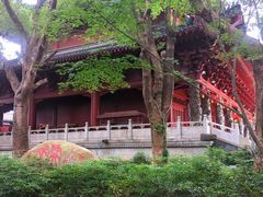 -绳金塔