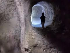 -上海佘山国家森林公园天马山园