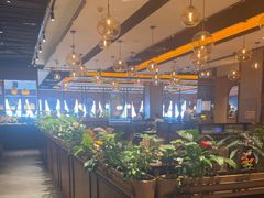 -半秋山西餐厅(宜昌大洋店)