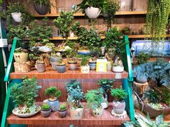 -扶光书店(中环店)