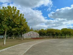 -上海海湾国家森林公园