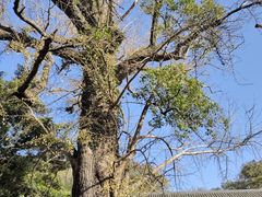 -普陀山风景名胜区-法雨禅寺