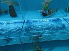 -怡咖啡·自助餐·西安香格里拉
