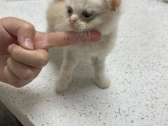 -宠颐生动物医院·小陆分院