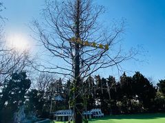 -青岛遇见米兰(八大关店)