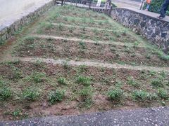 -韶山毛泽东同志故居