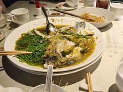-芙蓉堂(武汉天地店)
