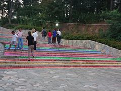 -大塘金香草谷