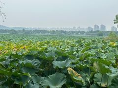 -云龙湖旅游景区