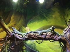 -华夏文旅海洋公园