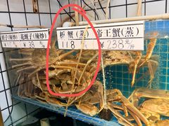 -震海贝烤贝·民俗特色店(延吉总店)