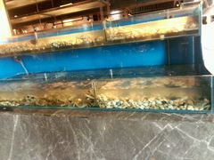 -星伦多 自助料理(圆融店)