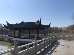 -上海海湾国家森林公园