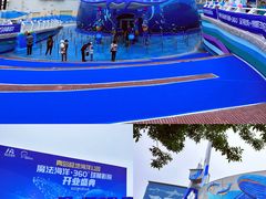 -海合安青岛极地海洋公园