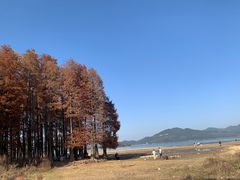 -四明湖