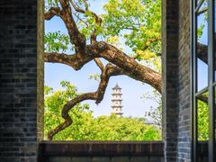 -江心屿景区