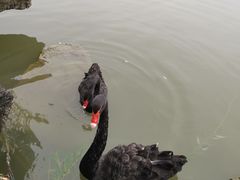 -洛阳市隋唐城遗址植物园