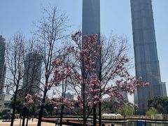 -陆家嘴中心绿地