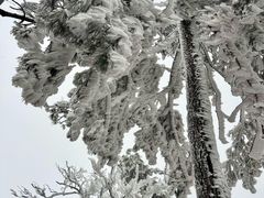 -洛阳白云山景区