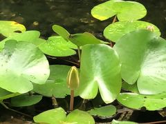 -迈格笙SPA·影院式足道·采耳(金桥店)