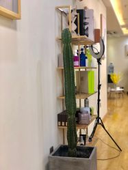 -涩谷· Hair Salon