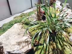 -望京辣宴·古法川菜(望京店)