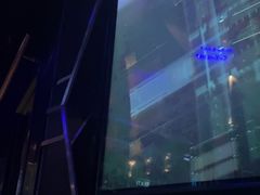 -魅KTV·AI辅唱(簋街店)