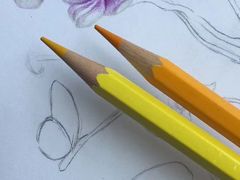 -八哥美术·成人美术画室(总校区)