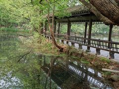 -东湖落雁景区