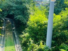 -富斯特索道