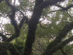 -蒲园食堂(中山大学广州校区南校园店)