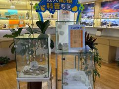 -天津大学爱尔眼科医院(天津院区)