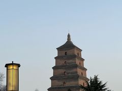-老乌家特色小炒泡馍(大皮院店)