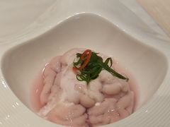 特色鲜猪脑花-围炉夜话·潮汕卤水火锅(榕江店)