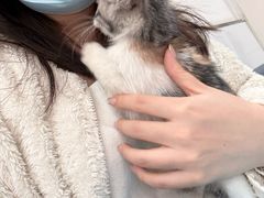 -派美特宠物医院·核磁CT·骨科肿瘤·疑难转诊(沈农禾丰店)
