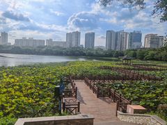 -南宁南湖公园