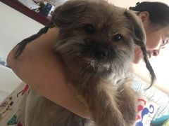 -北京恒爱动物医院(清景园分院)