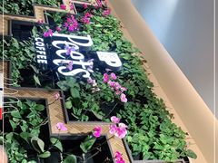 -Peet's Coffee皮爷咖啡(豫园店)