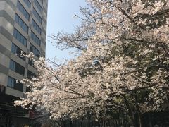 -玛格萝妮比萨屋(四平店)
