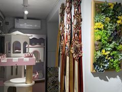 -青奢宠物·青奢猫舍