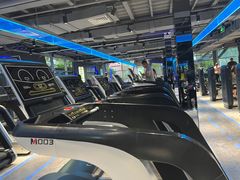 -派立斯游泳健身(狂野店)