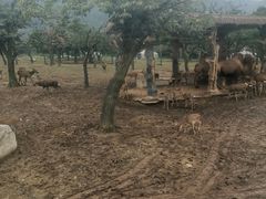 -西安秦岭野生动物园