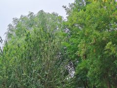 -岳阳道小学(大理道校区)