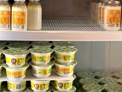 -德禄酸奶(莫家街店)