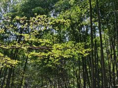 -穹窿山景区