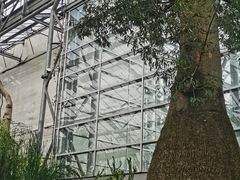-南山植物园