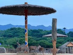 -杭州野生动物世界